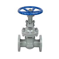 Katup Gerbang Baja Cor ANSI PN16/25/300LB DN50-600 CE WCB Baja Karbon Tipe Flens API 600 Kelas 150 NPT 2/4/6/8 Inci