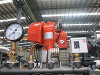 Nouvelle chaudière à vapeur verticale automatique à tube d'eau et gaz basse pression, 50-500 kg/h, pour usage domestique, restaurant, ferme, garantie 1 an