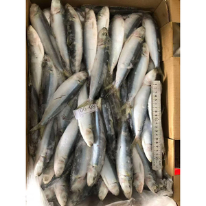 Sardinas Congeladas al por Mayor, Sardinas Congeladas a Granel, <span class=keywords><strong>Precio</strong></span> por Tonelada de Pescado Congelado 6-8 - Product Image 3