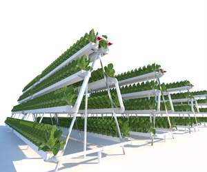 Système hydroponique de canal NFT personnalisé, tuyau en PVC en forme de A, hydroponie verticale, pompe, PVC de qualité alimentaire, tomate/laitue/feuilles - Product Image 4