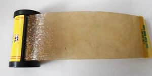 Trampa para insectos/insectos Cinta viscosa Rollo <span class=keywords><strong>de</strong></span> cinta para moscas Trampa para moscas colgante Trampa para moscas <span class=keywords><strong>de</strong></span> frutas - Product Image 2