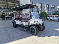 Voiturette de golf électrique surélevée haut de gamme pour 6 passagers, avec pare-brise, couleur personnalisable en option