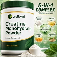 Marques de sport, marques de fitness, créatine monohydrate en poudre ISO 500g pour les performances sportives