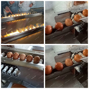 สายการผลิตผงไข่ Ligne complte ผลิตโดยใช้ผงไข่ - Product Image 5