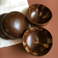 Bols en noix de coco polis jetables, cuillères en bois, ensemble de fourchettes écologiques pour salade, bol en coquille de noix de coco
