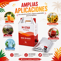 Conteneur d'emballage liquide Bag-in-Box 5L 10L 20L avec robinet distributeur – Vente en gros directe usine