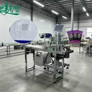 Graveur laser UV à alimentation par pagination réglable avec module de codage QR pour les emballages alimentaires composites - Product Image 2