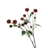 Kunstmatige 7-takkige prei-bollen, kastanjes, fruitplateaus, planeten-thema arrangementen, paardenbloemen, nepfruit, restaurant