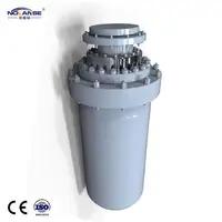 Cilindro idraulico di grandi dimensioni personalizzato Ty China Factory