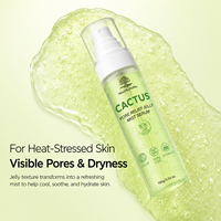 Brume Faciale au Cactus Hydratante et Apaisante, Sérum en Gel Transformable en Brume, Affinant les Pores, Fabricant Cosmétique OEM ODM