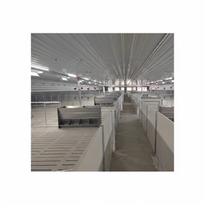 Mangeoires pour animaux de ferme pour l'engraissement des porcs Temps d'alimentation optimal - Product Image 1