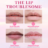 Gommage pour les lèvres au sucre de fraise avec logo personnalisé, marque privée, ingrédients naturels de haute qualité, emballage personnalisé en couleur pour le soin des lèvres