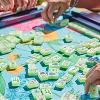 Ensemble de Mahjong Américain de Luxe Moderne en Acrylique Radiant Matcha Pearl Garden, 4 Joueurs, Coffret Cadeau, Finition Polie à la Main, Haute Qualité