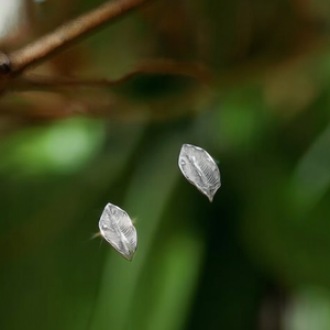 ต่างหูแฟชั่นแบบติดหู รุ่น BE195-N10-0218WX-P - Product Image 3