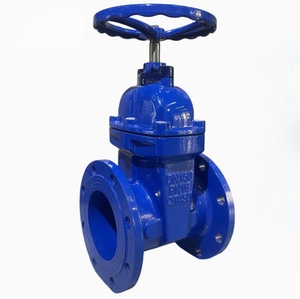 Vanne à opercule à tige non élévatrice DN50-DN600 avec corps en fonte ductile WCB et acier inoxydable, joint EPDM, fixation par bride métallique - Product Image 1