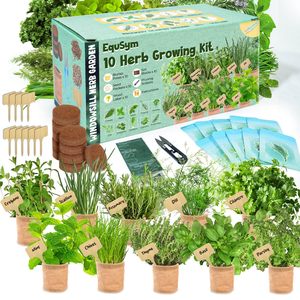 Kit <span class=keywords><strong>de</strong></span> jardinage d'intérieur pour 10 plantes aromatiques - Ensemble complet <span class=keywords><strong>de</strong></span> graines et <span class=keywords><strong>de</strong></span> terre pour plantes aromatiques d'intérieur avec pots, idéal pour un <span class=keywords><strong>cadeau</strong></span> <span class=keywords><strong>de</strong></span> fête des Mères - Product Image 1