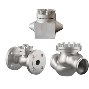 Válvula de Aguja Simple con Aislamiento al Vacío de 5 V CC para Líquido Criogénico de Hidrógeno LH2 para Investigación y Desarrollo Aeroespacial - Product Image 2