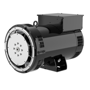 Nhà Máy Giá đồng bộ AC 40kw 50kw 100kw 160Kw 200Kw Leroy somer không chổi than phát điện với <span class=keywords><strong>AVR</strong></span> - Product Image 5