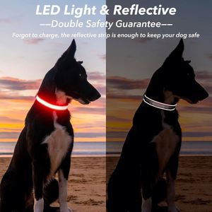 China Wholesale Customized Led Light up Dog <b>Collar</b> Pet Accessories Rechargeable Waterproof Dog Led <b>Collar</b> - Product Image 2