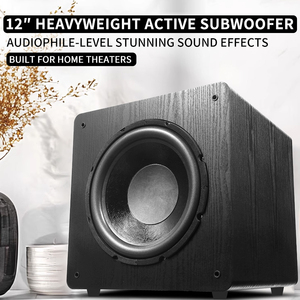 <span class=keywords><strong>Subwoofer</strong></span> Attivo da 12 Pollici per <span class=keywords><strong>Home</strong></span> <span class=keywords><strong>Theater</strong></span>, Altoparlante <span class=keywords><strong>Subwoofer</strong></span> DJ ad Alta Potenza, con Amplificatore Classe D per Feste 110V/220V - Product Image 2