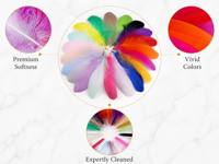 Suministros de Sombrerería, Plumas de Ganso Naturales, Accesorios para Sombreros, Decoración de Bases, Decoración para Bodas y Fiestas, Decoración del Hogar, Manualidades