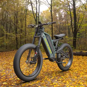 SOBOWO电动自行车胖轮胎最新款液压制动器双电池电动自行车