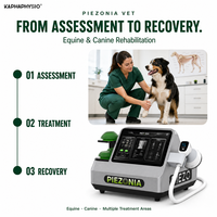 Appareil de thérapie par ondes de choc ESWT Kaphaphysio pour la réadaptation des blessures sportives des chevaux, des chiens, des chats et des animaux – Équipement clinique vétérinaire