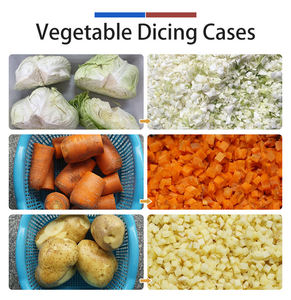 Commercial Fruit and Vegetable Cutter Cube <b>Dicing</b> Machine 3-25mm <b>Dices</b> 500-1200kg/H Stainless Steel Pineapple Cubing Machine - Product Image 3