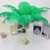 Vente en gros de plumes d'autruche blanches 25-30 cm prunes pour fête mariage carnaval festival bricolage décorations artisanales
