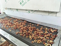 Industriële meerlaagse gaasbanddroger met warmtepomp, SUS304 materiaal, multifunctioneel voor fruit, groenten en vis.