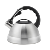 Bouilloire sifflante en acier inoxydable de 2,5 L avec poignée froide au toucher, pour tous les types de cuisinières, vente en gros d'usine