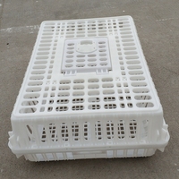 Vente Panier de transport Caisses à poulet en plastique professionnelles Caisses à poulet Boîtes de transport en plastique