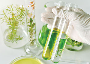 Ile yüksek saflıkta yüksek kalite <span class=keywords><strong>Saw</strong></span> <span class=keywords><strong>Palmetto</strong></span> yağı <span class=keywords><strong>Saw</strong></span> <span class=keywords><strong>Palmetto</strong></span> özü tozu 25% 85% - Product Image 6