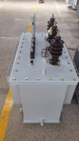 100kVA-2500kVA Üç Fazlı 35kV 60Hz Yağlı Tip Güç Trafosu Tam Bakır Dış Mekan Tipi Afrika Pazarı için