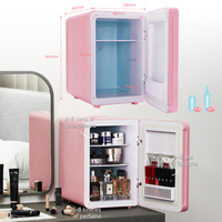Mini réfrigérateur électrique 10L à double température, porte en verre, ABS, mousse PU, pour lait maternel, café, soins de la peau, cosmétiques, voiture, maison, hôtel, portable