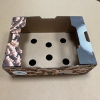 Supermarkt citrusvruchten displaybox golfkarton open bovenkant retail PDQ schapklare toonbankdisplay