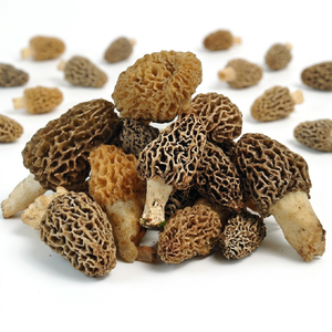 Fournisseur en vrac de Morilles d'Inde - Product Image 1