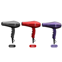 Sèche-cheveux professionnel puissant de dernière génération, fabriqué par un fabricant de sèche-cheveux avec moteur AC, pour salon