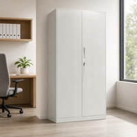 Armoire de classement professionnelle en acier à 2 portes, meuble de rangement métallique pour bureau avec serrure, structure KD pour bureau à domicile