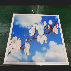 600x600 Led Skylight Bleu Ciel et Nuage Led Panneau de Plafond Lumière Bord <span class=keywords><strong>Lit</strong></span> 2*2 ft 40W 60W lumière à panneau plat - Product Image 2