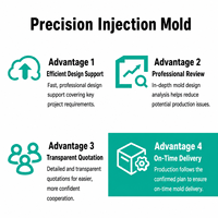 OEM High Precision Custom Plastic Injection Molding Service Mould Making Automotive Medical Consumer Electronics