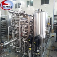 Turnkey Natuurlijke Duindoorn Vers Fruit Pulp Maken Machine Nfc Sap Productielijn Fabriek Fabriek Automatische