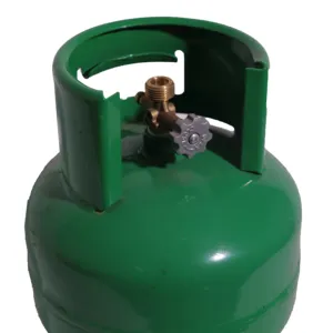 2千克高护罩小尺寸气瓶5L燃气灶厨房用具可重复使用户外野营烧烤气瓶