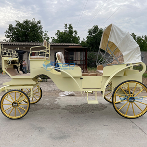 Carruaje de Boda Clásico de Alta Calidad, Estilo Princesa Real, Vehículo Eléctrico Turístico, Precio Bajo, Transporte Especial - Product Image 6