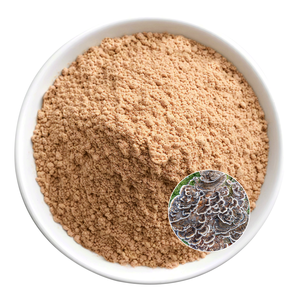 Polvere di funghi di coda di tacchino ad alta purezza in polvere di funghi naturali adatti per la lavorazione e l'uso di materie prime dell'industria integrativa - Product Image 3