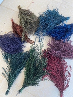 100g de fleurs préservées, eucalyptus bleu bébé/eucalyptus à feuilles étroites, plantes réelles pour décoration intérieure verte