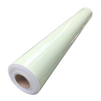 Lianxing Night Dark in Glow Tape Vinilo imprimible PVC Película fotoluminiscente Vinilo luminoso para señales de advertencia