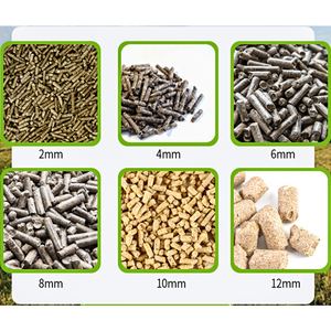Nueva Molino de Pellets de Alimentación con Matriz de Anillo y Accionamiento por Engranajes de Acero Inoxidable de Alta Productividad Serie RD de Rongda, de 5-15 T/H, para Ganado Vacuno - Product Image 4