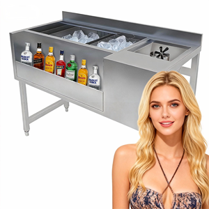 Estación de Barman de Acero Inoxidable de Alta Calidad en Venta, Estación de Barman en Oferta con Servicio de Personalización - Product Image 2