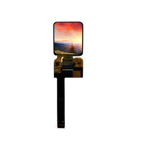 Vuông 1.6 inch AMOLED hiển thị với oncell màn hình cảm ứng 320*360 Độ phân giải cho đồng hồ thông minh - Product Image 5